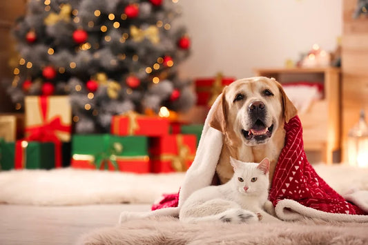 Christmas Gifts for Pets