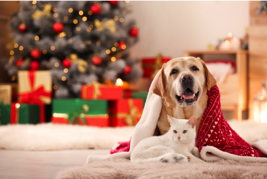 The Ultimate Dog Christmas Presents: Top Picks for Your Pup's Holiday Celebration