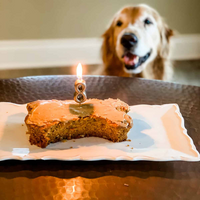 Dog Birthday