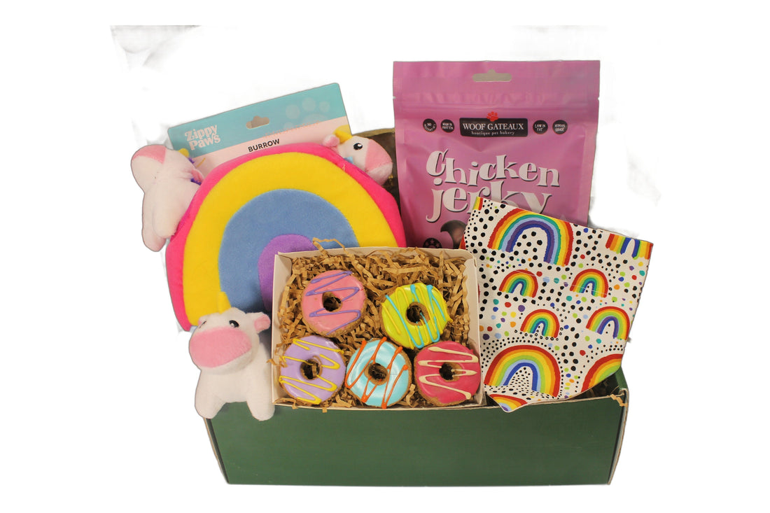 Pride & Mardi Gras LGBTQIA+ Pet Gifts with Colorful Bandanas and Treats