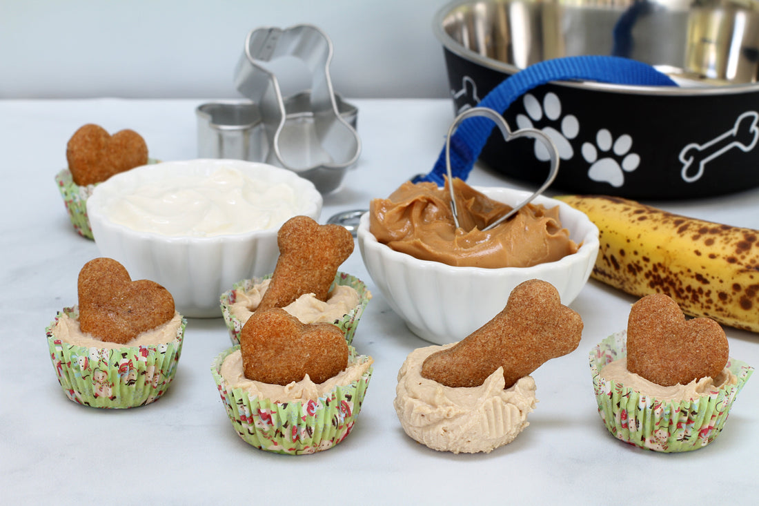 Healthy dog treats and custom pet gifts collection