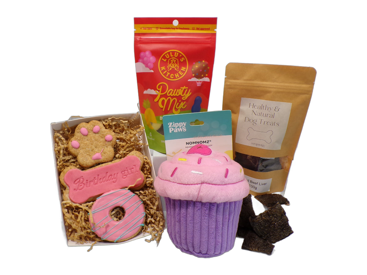 Birthday_girl_cupcake_box_product_shot