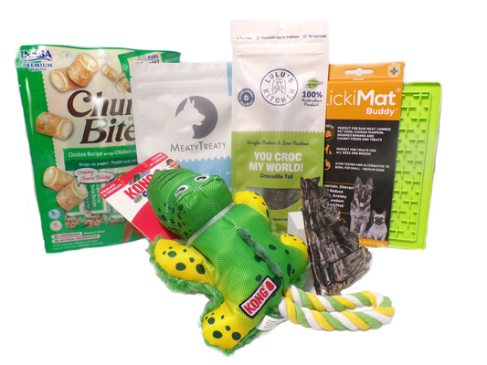 Dog gift box KONG Crocodile toy treats and lickimat