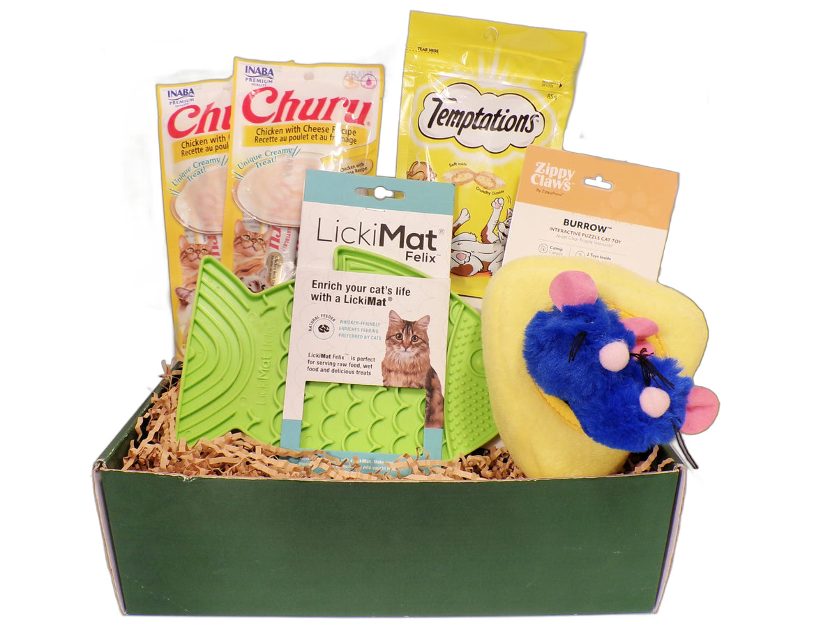 Mouse Trap Interactive Cat Gift Box