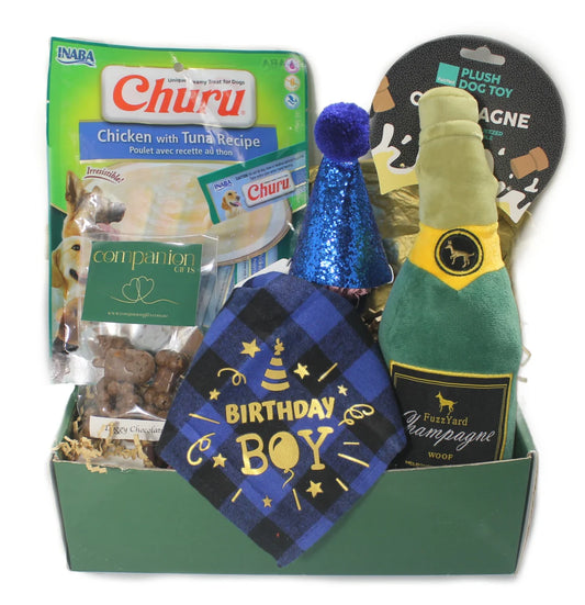 Birthday Boy Bandana & Bubbles Dog Gift Box 