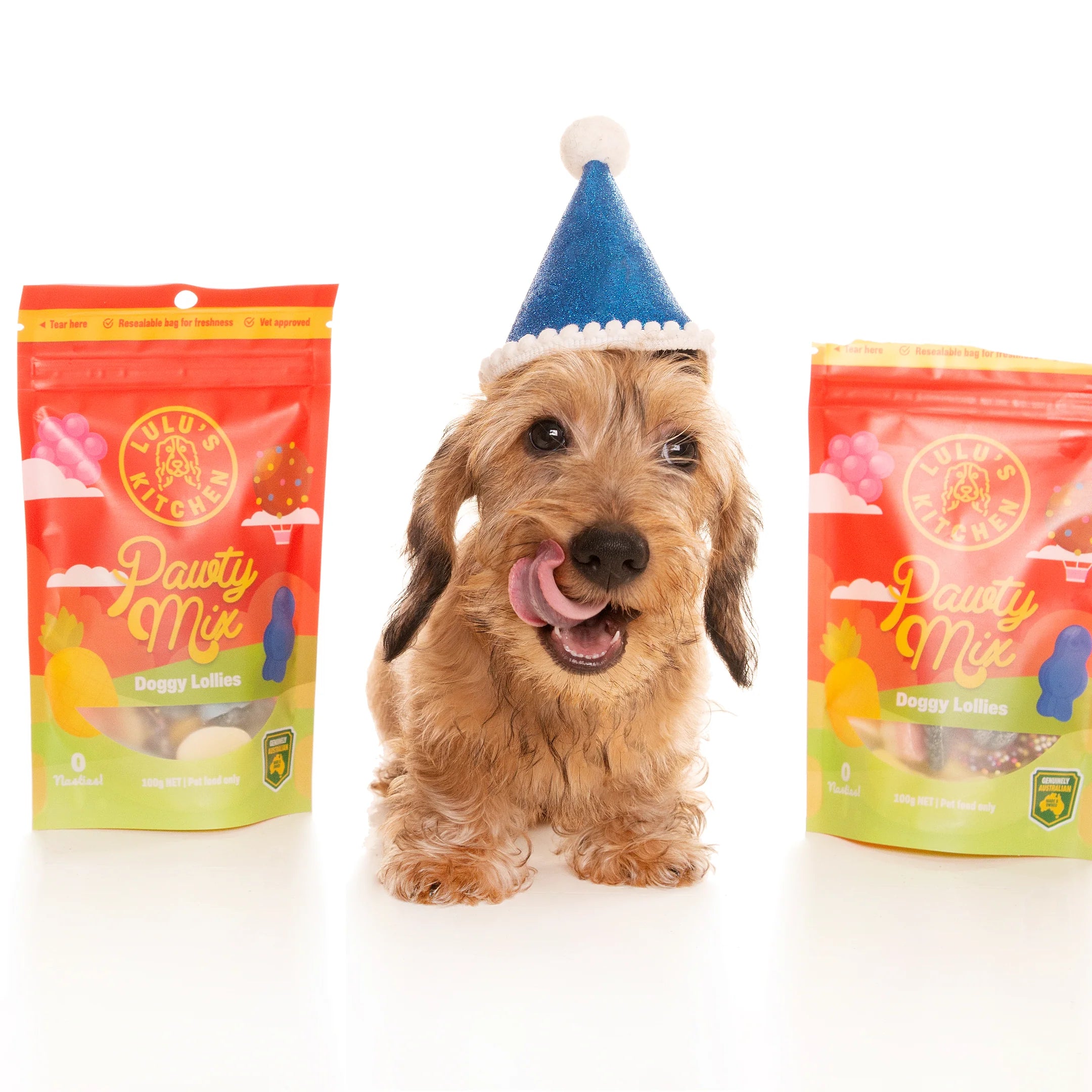 Healthy Dog Treats - Sugar-free and tasty snacks for dogs