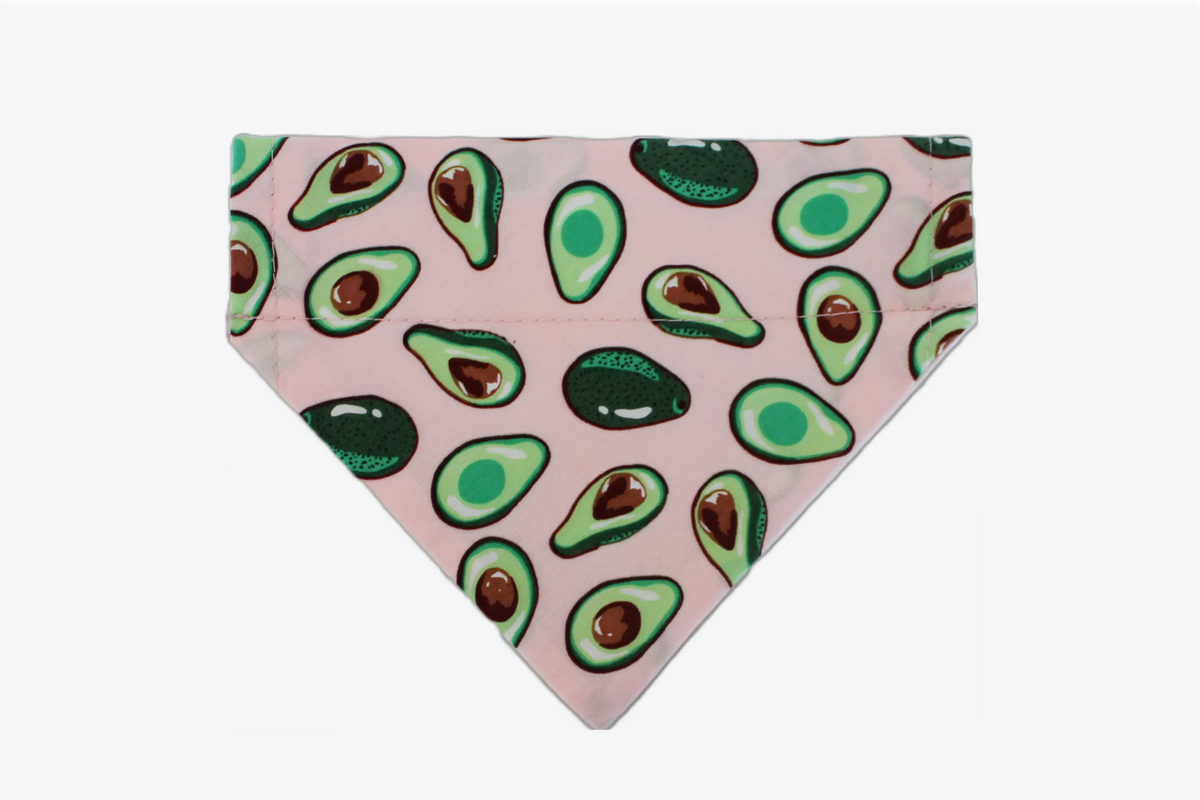 avocado-dog-bandana