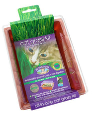 Cat grass kit by Mr Fothergills, perfect for growing fresh grass for your cat.