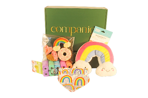 Everything Rainbows Dog Gift Box with colorful dog accessories.