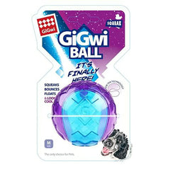 GiGwi Ball - Medium Dog Fetch Toy  great for fetch, squeaky fun, and hours of interactive play.