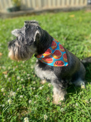 Grapefruit Bandana for dogs and cats, vibrant and stylish