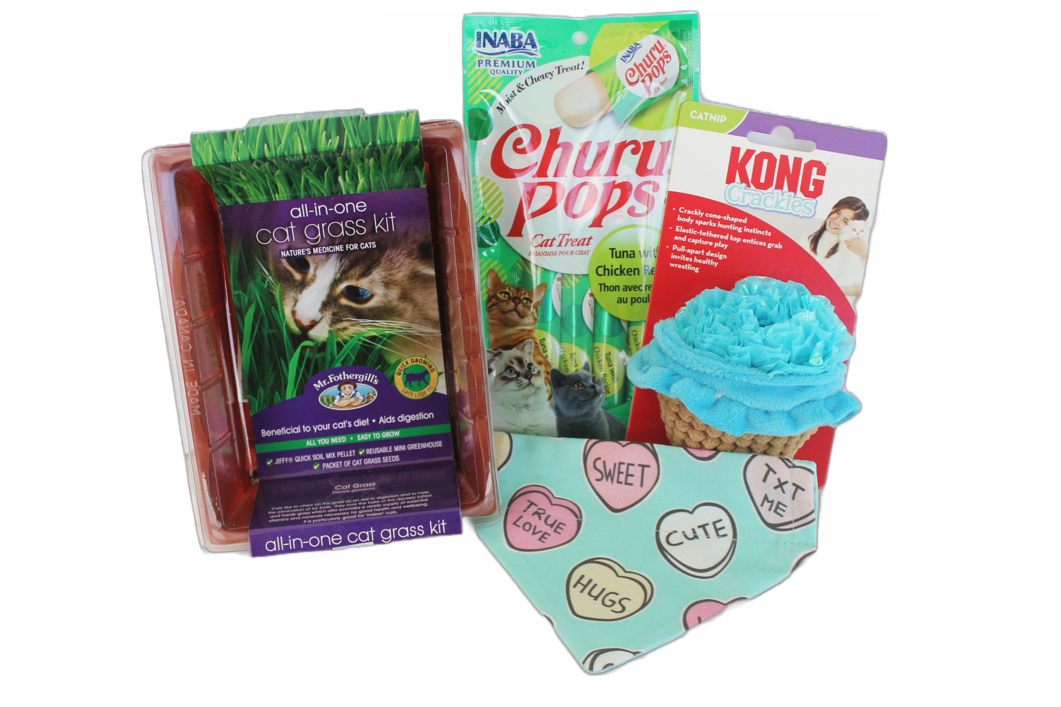 Complete Kong Toy & Cat Grass Box with toys, treats, and bandana for cats.