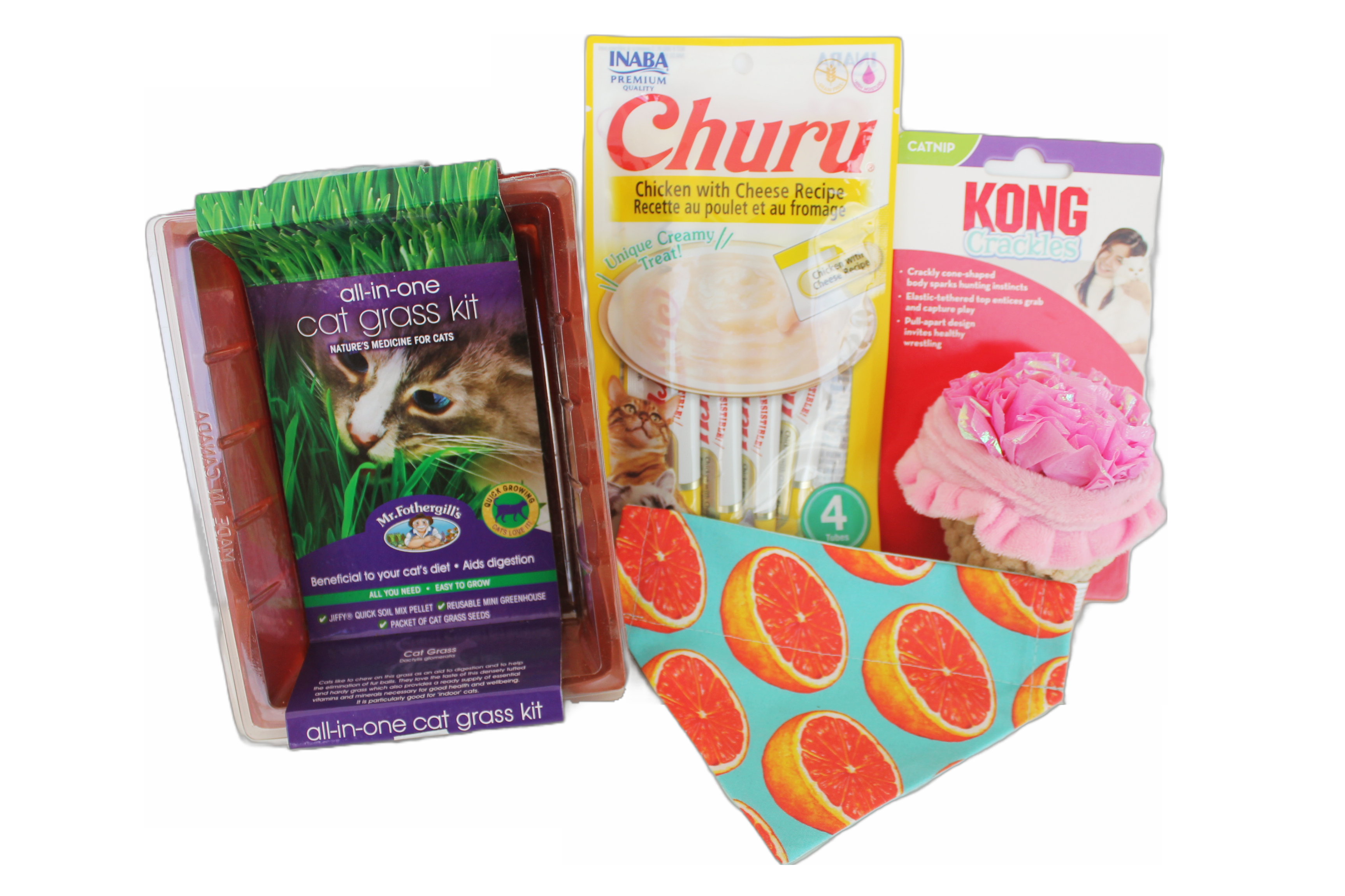 Kong Toy & Cat Grass Box featuring interactive toys and healthy treats for cats.