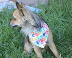 Pet Birthday Bandana in vibrant colors - Dog Birthday Gift and Accessory 🐾