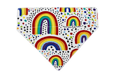 Colorful rainbow dog bandana in various sizes.